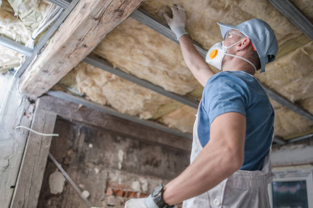 Best DIY Insulation Kits and Guidance in Athens, IL